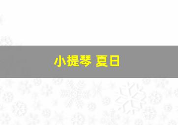 小提琴 夏日